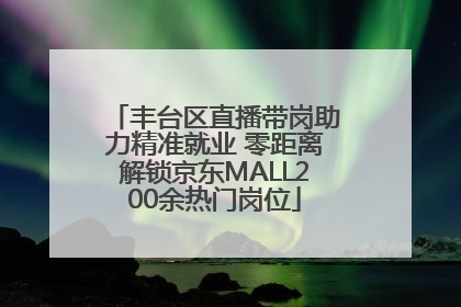 丰台区直播带岗助力精准就业 零距离解锁京东MALL200余热门岗位