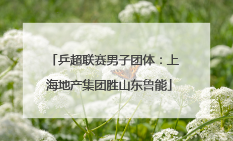 乒超联赛男子团体：上海地产集团胜山东鲁能