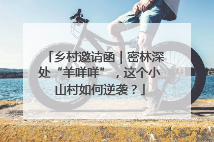 乡村邀请函｜密林深处“羊咩咩”，这个小山村如何逆袭？