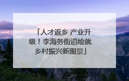 人才返乡 产业升级！李海务街道绘就乡村振兴新图景
