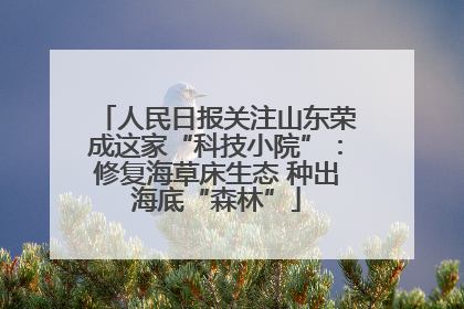 人民日报关注山东荣成这家“科技小院”：修复海草床生态 种出海底“森林”