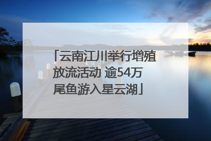 云南江川举行增殖放流活动 逾54万尾鱼游入星云湖