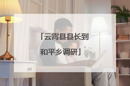 云霄县县长到和平乡调研