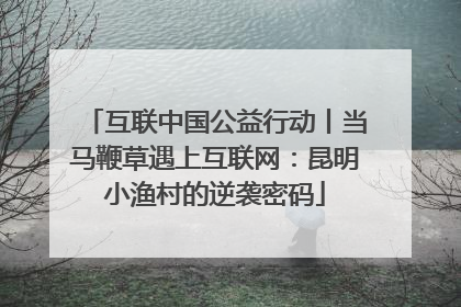 互联中国公益行动丨当马鞭草遇上互联网：昆明小渔村的逆袭密码