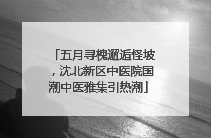 五月寻槐邂逅怪坡，沈北新区中医院国潮中医雅集引热潮