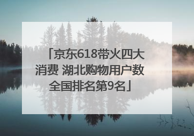 京东618带火四大消费 湖北购物用户数全国排名第9名