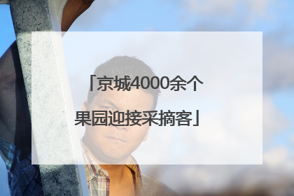 京城4000余个果园迎接采摘客