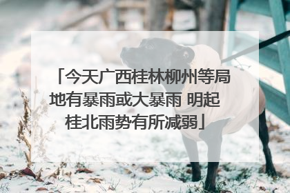 今天广西桂林柳州等局地有暴雨或大暴雨 明起桂北雨势有所减弱