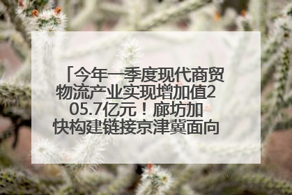 今年一季度现代商贸物流产业实现增加值205.7亿元！廊坊加快构建链接京津冀面向全世界的物流通道