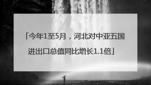 今年1至5月，河北对中亚五国进出口总值同比增长1.1倍
