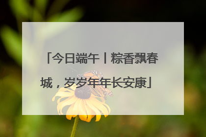 今日端午丨粽香飘春城，岁岁年年长安康