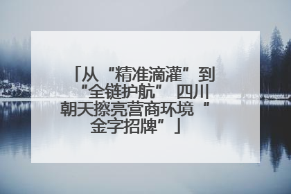 从“精准滴灌”到“全链护航” 四川朝天擦亮营商环境“金字招牌”