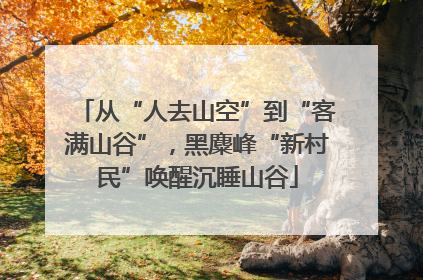 从“人去山空”到“客满山谷”，黑麋峰“新村民”唤醒沉睡山谷