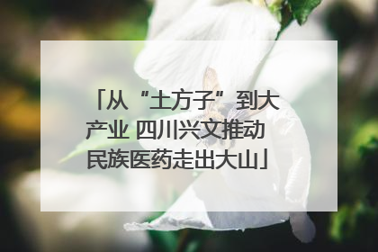 从“土方子”到大产业 四川兴文推动民族医药走出大山