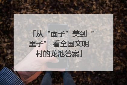 从“面子”美到“里子” 看全国文明村的龙池答案