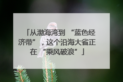 从渤海湾到 “蓝色经济带”，这个沿海大省正在 “乘风破浪”