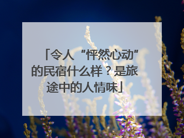 令人“怦然心动”的民宿什么样？是旅途中的人情味