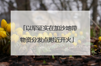 以军证实在加沙地带物资分发点附近开火