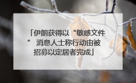 伊朗获得以“敏感文件” 消息人士称行动由被招募以定居者完成
