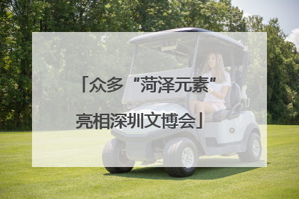 众多“菏泽元素”亮相深圳文博会