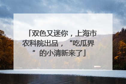 双色又迷你，上海市农科院出品，“吃瓜界”的小清新来了