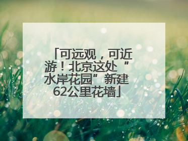 可远观，可近游！北京这处“水岸花园”新建62公里花墙