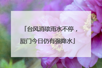 台风消歇雨水不停，厦门今日仍有强降水