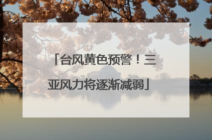 台风黄色预警！三亚风力将逐渐减弱