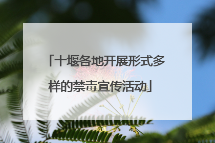 十堰各地开展形式多样的禁毒宣传活动