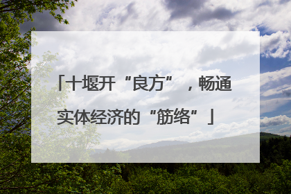十堰开“良方”，畅通实体经济的“筋络”