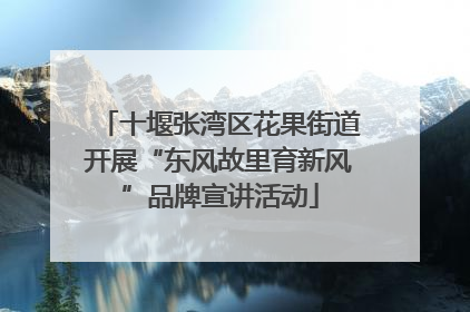 十堰张湾区花果街道开展“东风故里育新风”品牌宣讲活动