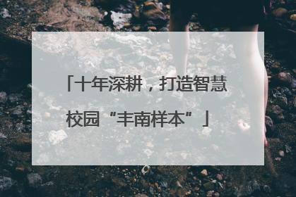 十年深耕，打造智慧校园“丰南样本”
