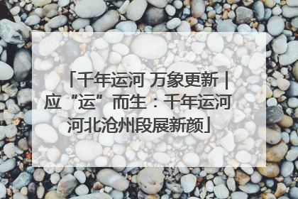 千年运河 万象更新｜应“运”而生：千年运河河北沧州段展新颜