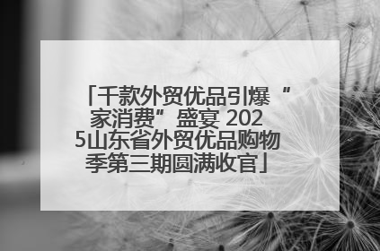 千款外贸优品引爆“家消费”盛宴 2025山东省外贸优品购物季第三期圆满收官