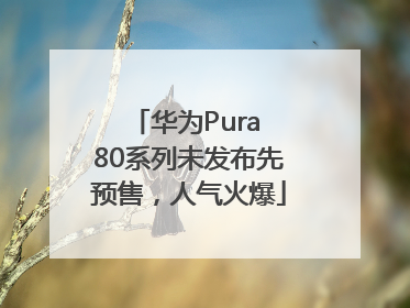 华为Pura 80系列未发布先预售，人气火爆