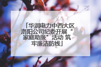 华润电力中西大区洛阳公司纪委开展“家庭助廉”活动 筑牢廉洁防线
