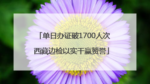 单日办证破1700人次 西藏边检以实干赢赞誉