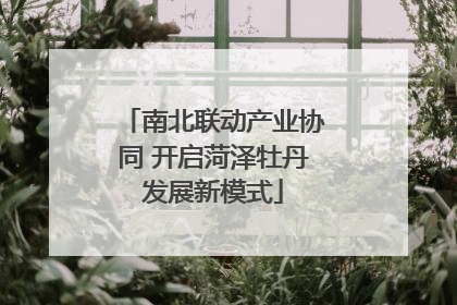 南北联动产业协同 开启菏泽牡丹发展新模式