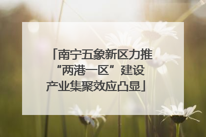 南宁五象新区力推“两港一区”建设 产业集聚效应凸显