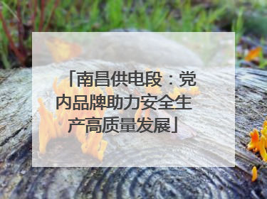 南昌供电段：党内品牌助力安全生产高质量发展