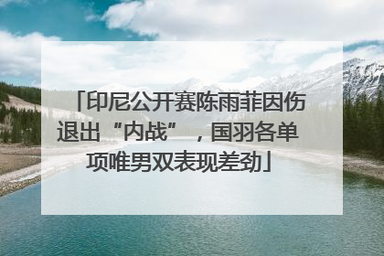 印尼公开赛陈雨菲因伤退出“内战”，国羽各单项唯男双表现差劲