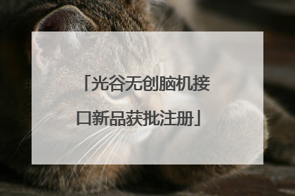 光谷无创脑机接口新品获批注册