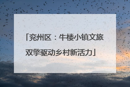 兖州区：牛楼小镇文旅双擎驱动乡村新活力