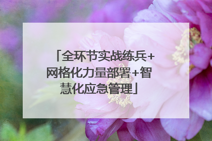 全环节实战练兵+网格化力量部署+智慧化应急管理