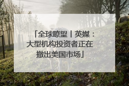 全球瞭望丨英媒：大型机构投资者正在撤出美国市场