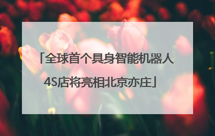 全球首个具身智能机器人4S店将亮相北京亦庄