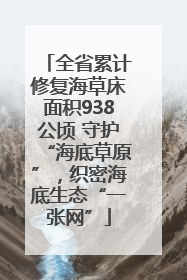 全省累计修复海草床面积938公顷 守护“海底草原”，织密海底生态“一张网”