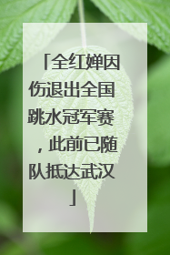 全红婵因伤退出全国跳水冠军赛，此前已随队抵达武汉