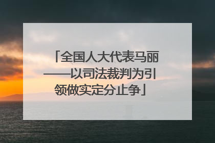 全国人大代表马丽——以司法裁判为引领做实定分止争