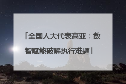 全国人大代表高亚：数智赋能破解执行难题